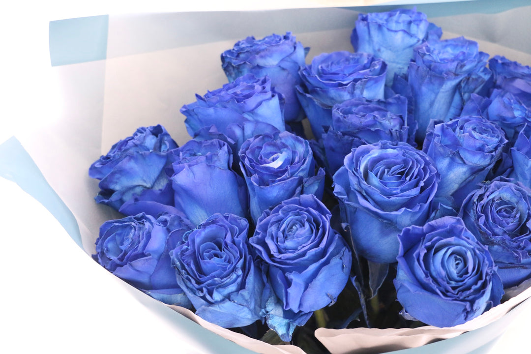 【大輪】20本の青いバラの花束