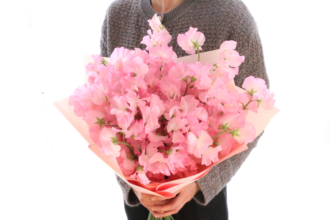 ピンク色のスイートピーの花束（40本）