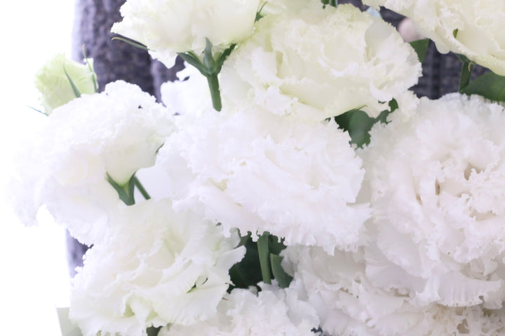 白いトルコキキョウの花束（8本）