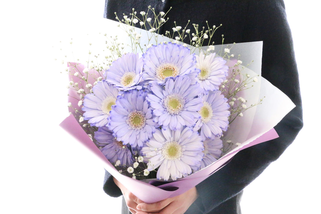 紫色のガーベラ（10本）とカスミソウの花束