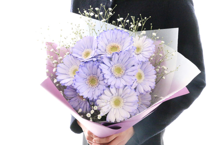 紫色のガーベラ（10本）とカスミソウの花束