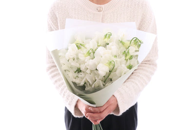 白いスイートピーの花束（25本）