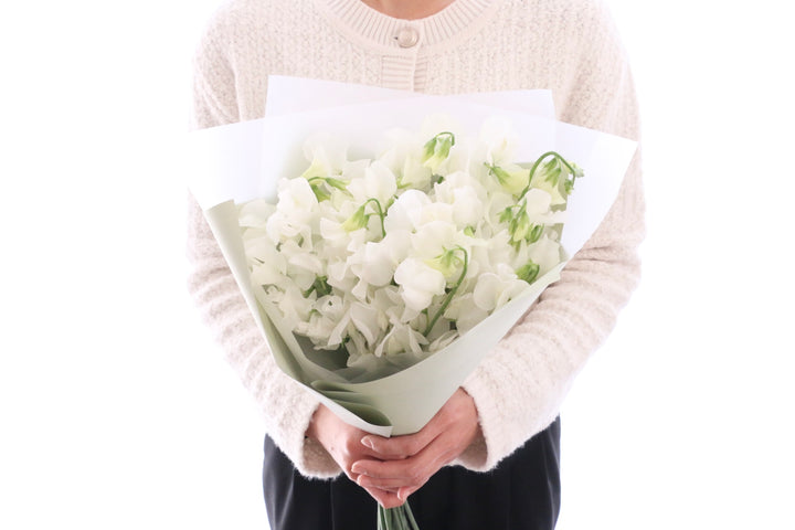 白いスイートピーの花束（25本）
