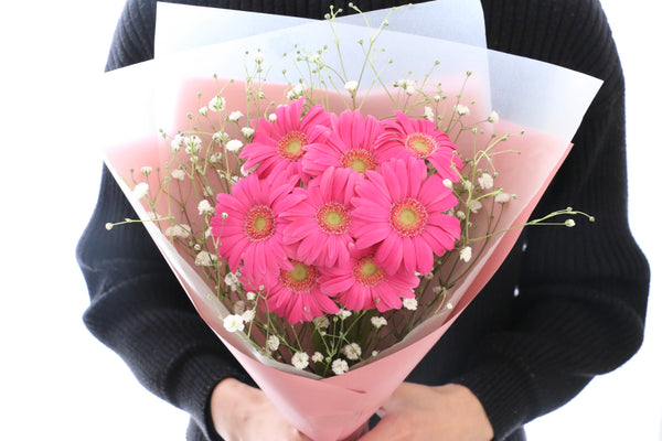 濃いピンク色のガーベラ（8本）とカスミソウの花束