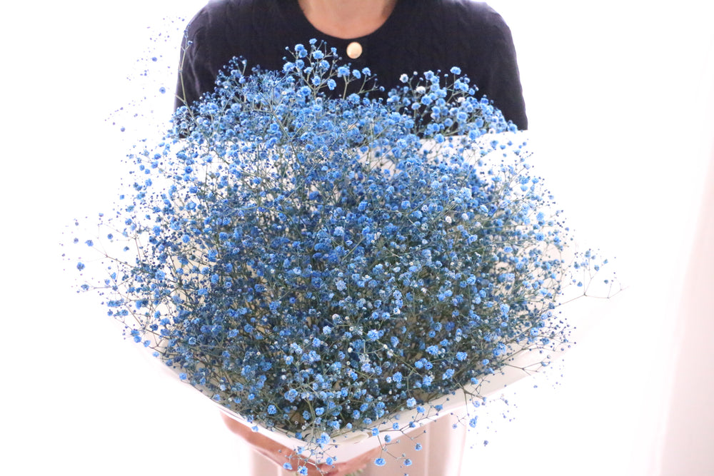 青のカスミソウ（かすみ草）の花束 8,000円