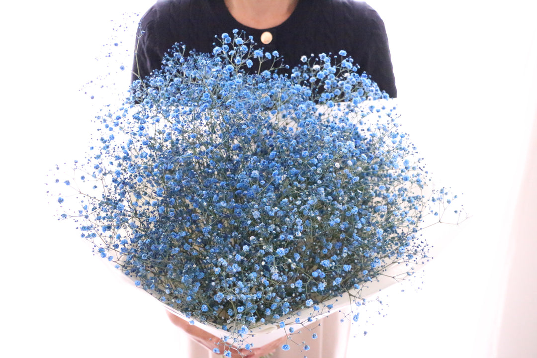 青のカスミソウ（かすみ草）の花束 8,000円