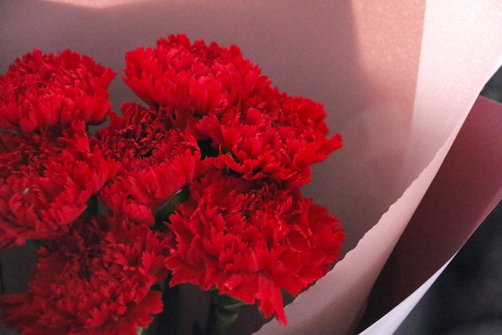 赤色のカーネーションの花束（8本）
