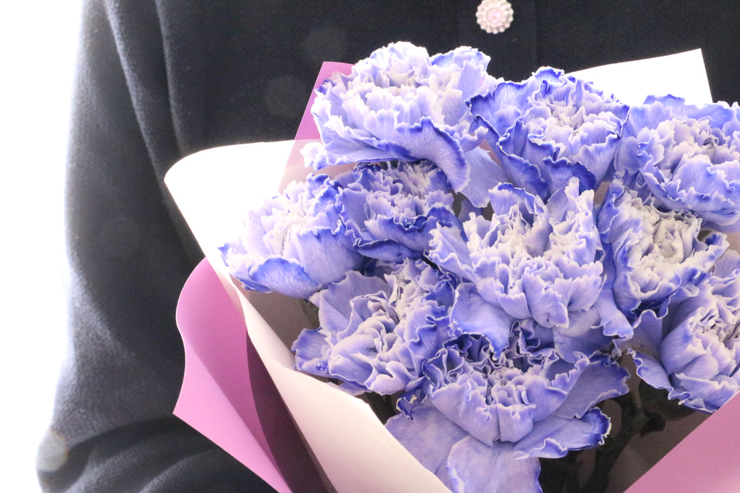 紫のカーネーションの花束（10本）