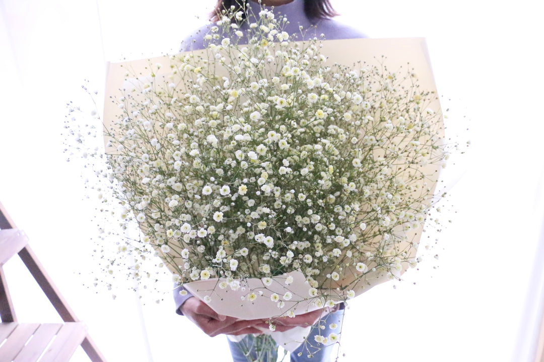 黄色のカスミソウ（かすみ草）の花束 8,000円 Lサイズ
