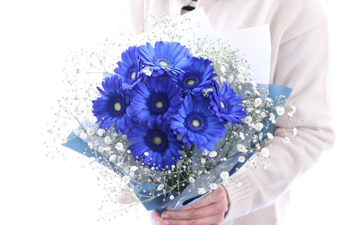青色のガーベラ（8本）とカスミソウの花束