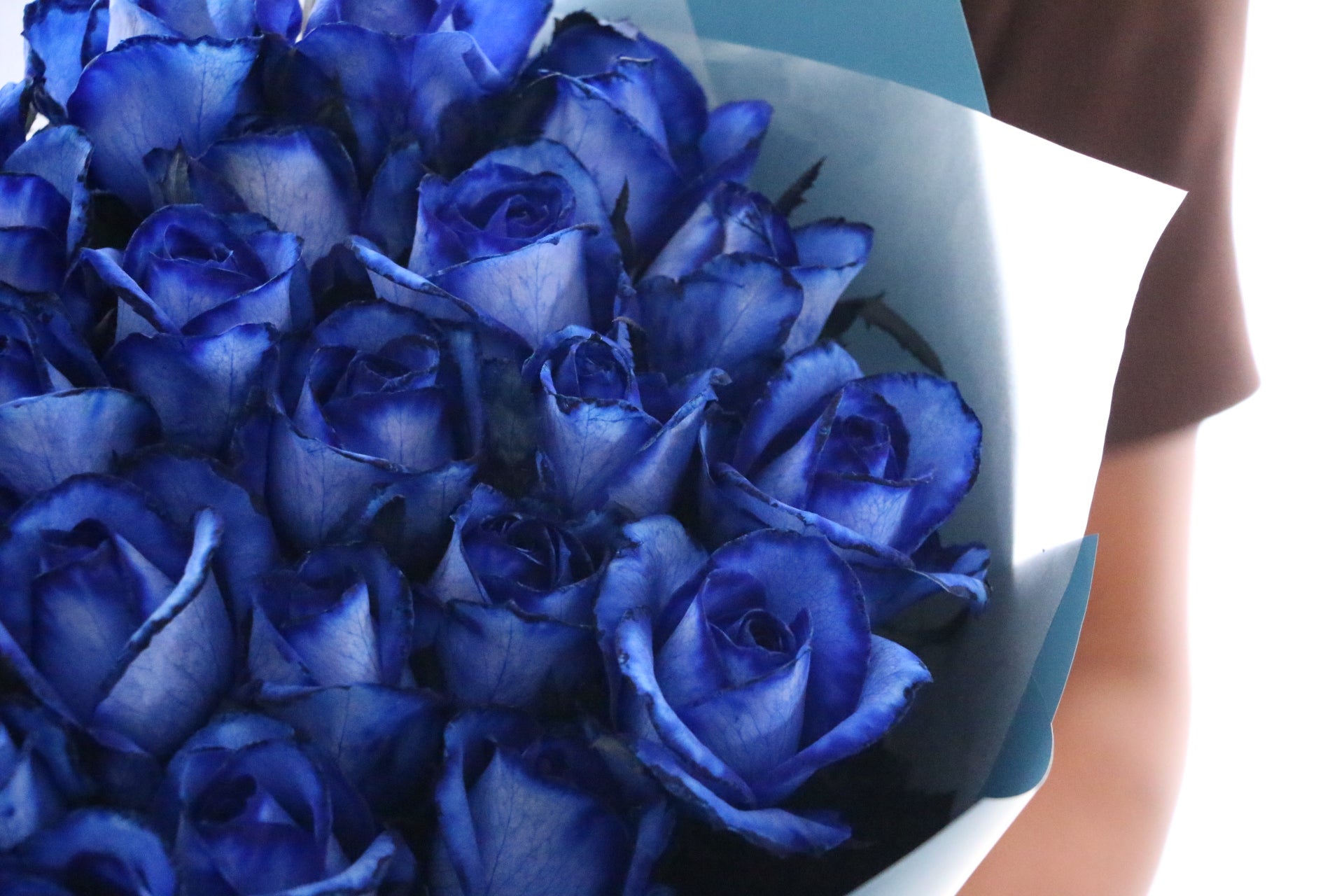 国産】25本の青いバラの花束-あなたの幸せを祈っています – 花・花束の