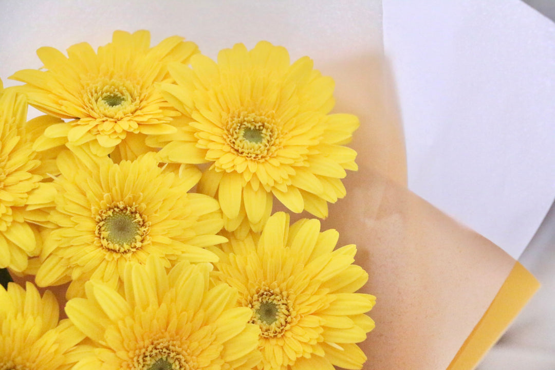 黄色のガーベラの花束（9本）-いつまでも一緒にいてください