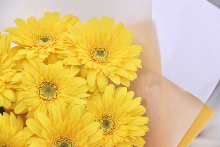 黄色のガーベラの花束（9本）-いつまでも一緒にいてください