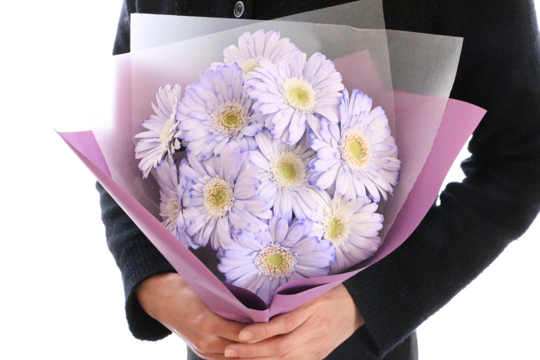 紫色のガーベラの花束（10本）