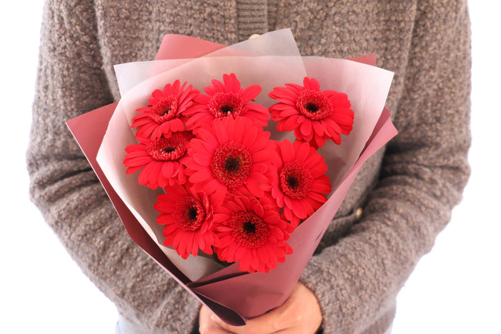 赤色のガーベラの花束（8本）-あなたの思いやりに感謝します