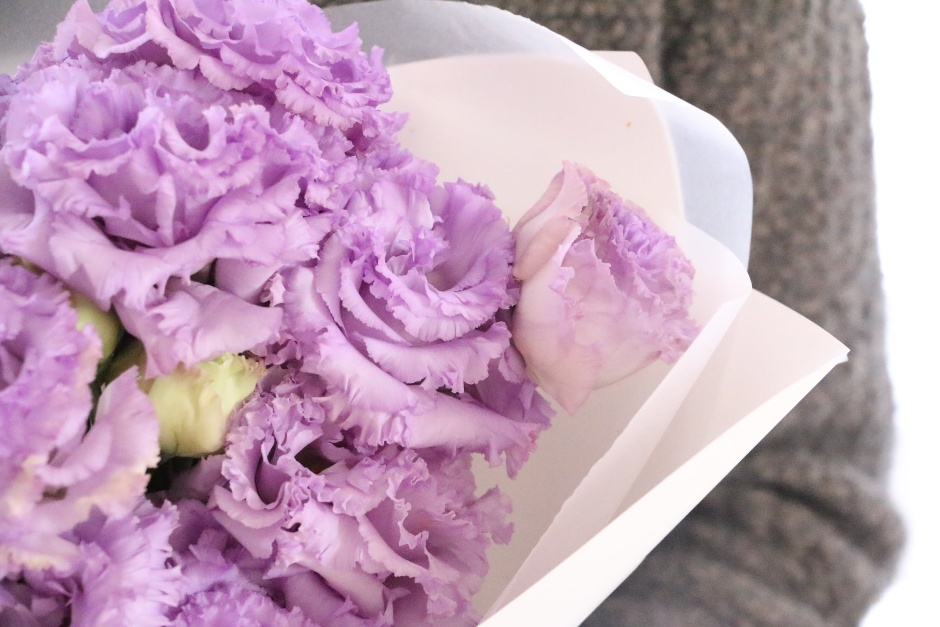 紫色のトルコキキョウの花束（3本） – 花・花束の通販サイト｜HanaTaku