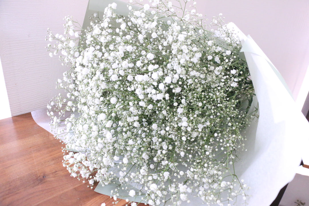 【プロポーズ】カスミソウの花束（10本）