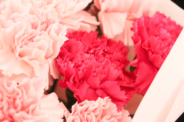 ピンク色ミックスのカーネーションの花束（20本）