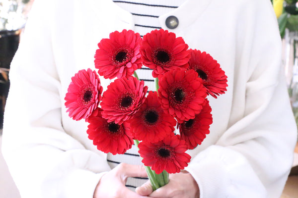 赤色のガーベラの花束（10本）