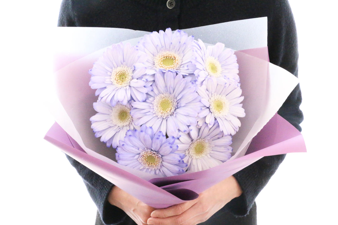 紫色のガーベラの花束（8本）-あなたの思いやりに感謝します
