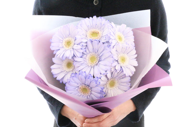 紫色のガーベラの花束（8本）-あなたの思いやりに感謝します