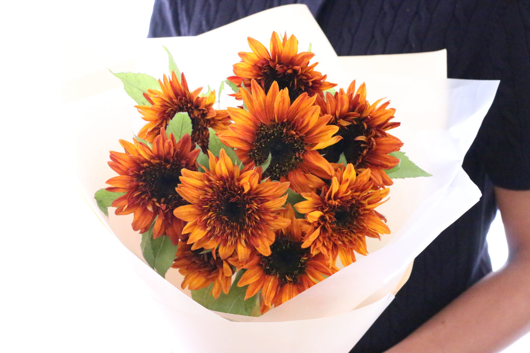 ブラウンのひまわりの花束（9本）