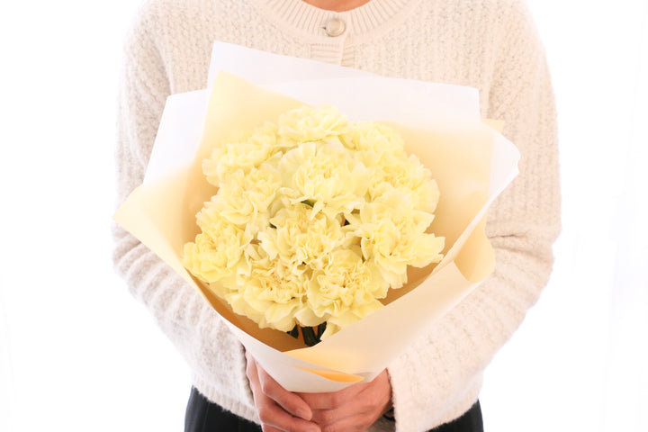 淡い黄色のカーネーションの花束（11本）