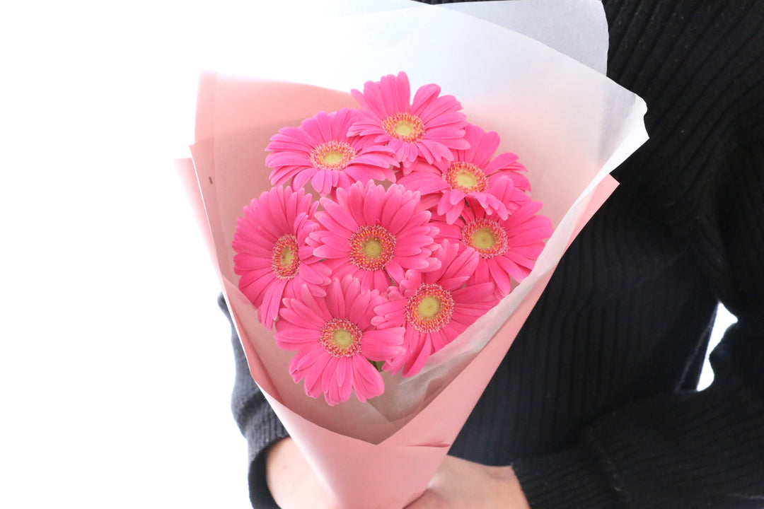 濃いピンク色のガーベラの花束（8本）-あなたの思いやりに感謝します
