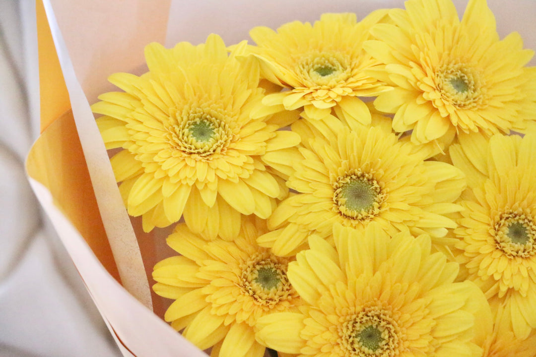 黄色のガーベラの花束（8本）-あなたの思いやりに感謝します
