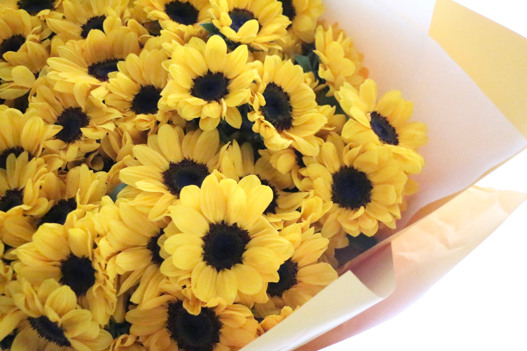 ひまわりの花束（88本）