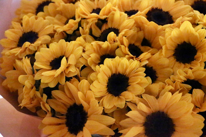 ひまわりの花束（99本）-永遠の愛