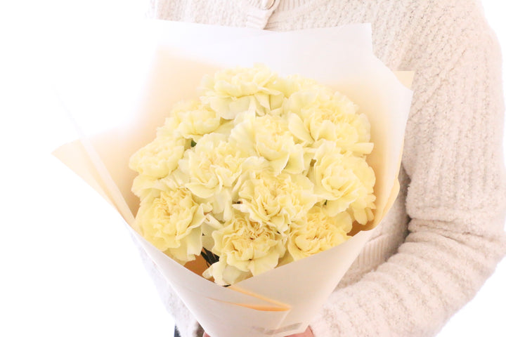 淡い黄色のカーネーションの花束（12本）