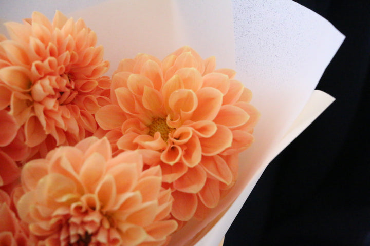 オレンジ色のダリアの花束（5本）