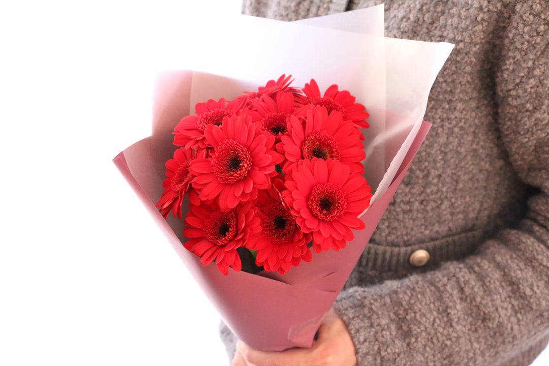 赤色のガーベラの花束（10本）