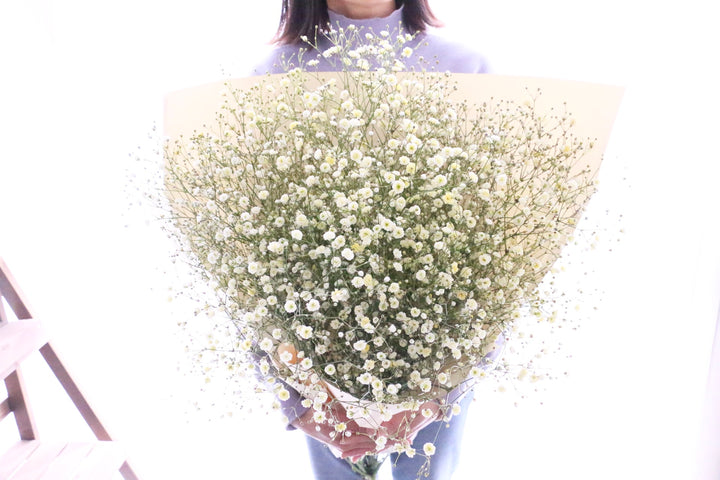 黄色のカスミソウ（かすみ草）の花束 10,000円 2Lサイズ