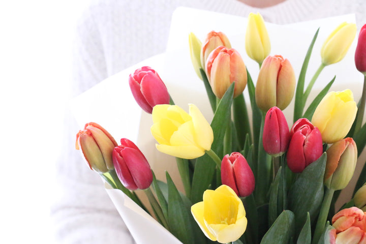【3色MIX】チューリップの花束（20本）