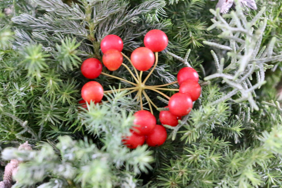 クリスマスツリーアレンジメント　Sサイズ　3,500円