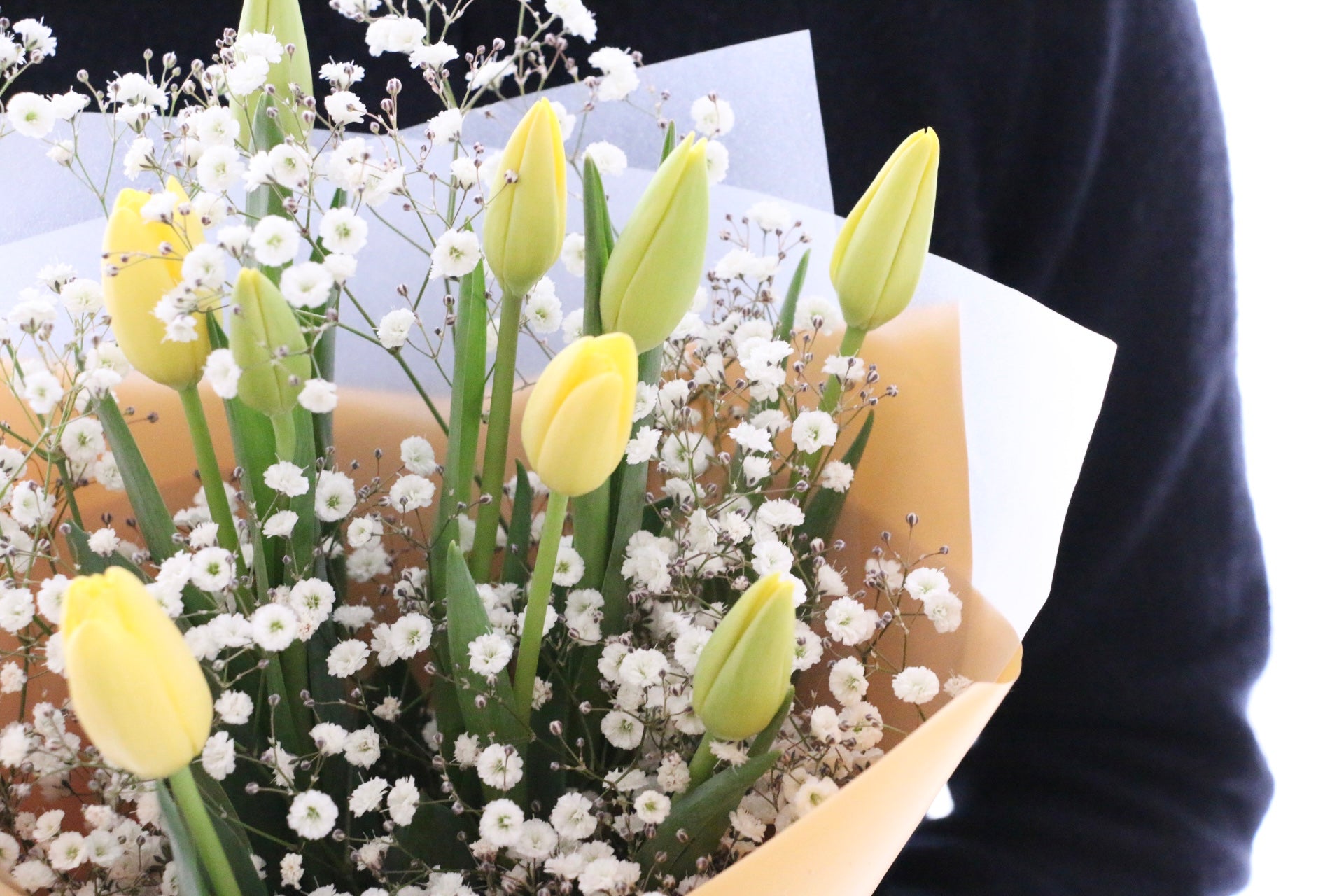 黄色のチューリップ（9本）とカスミソウの花束 – 花・花束の通販サイト