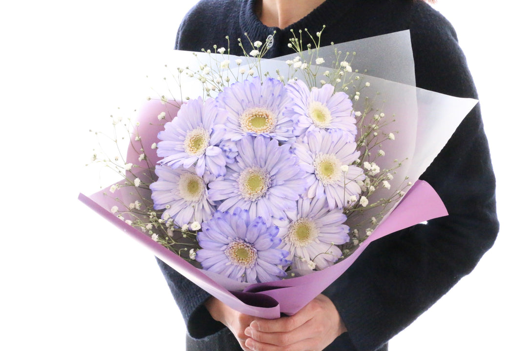 紫色のガーベラ（8本）とカスミソウの花束