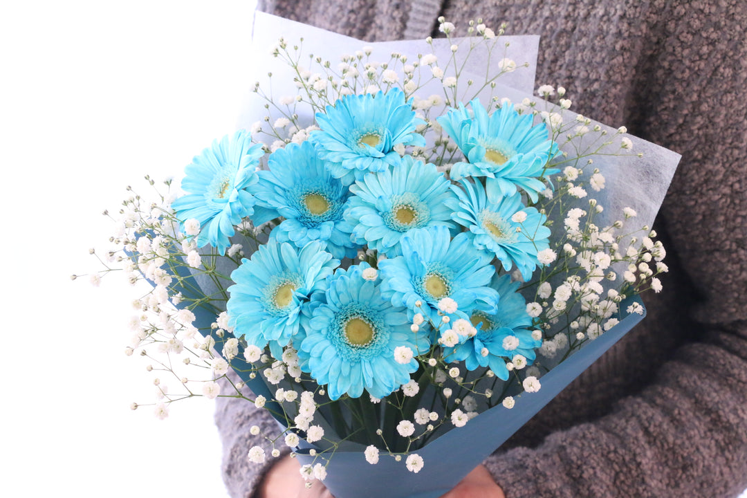 水色のガーベラ（10本）とカスミソウの花束