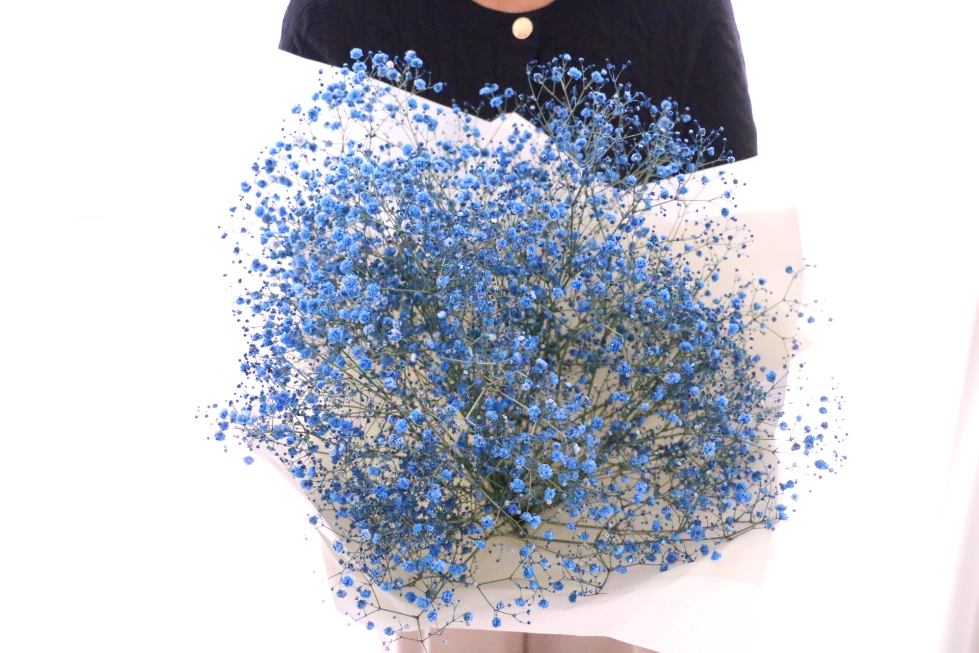 青のカスミソウ（かすみ草）の花束 5,000円 – 花・花束の通販サイト