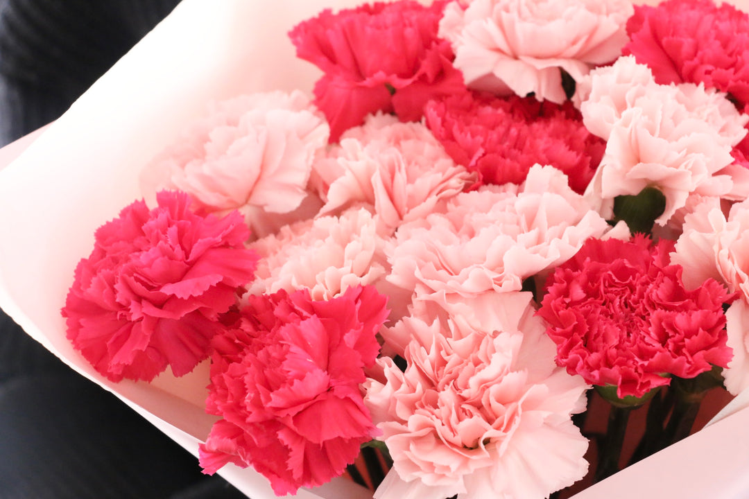 ピンク色ミックスのカーネーションの花束（15本）