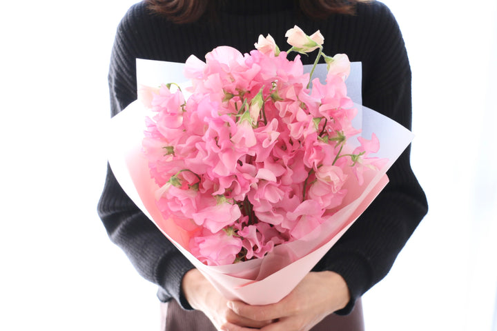 ピンク色のスイートピーの花束（25本）
