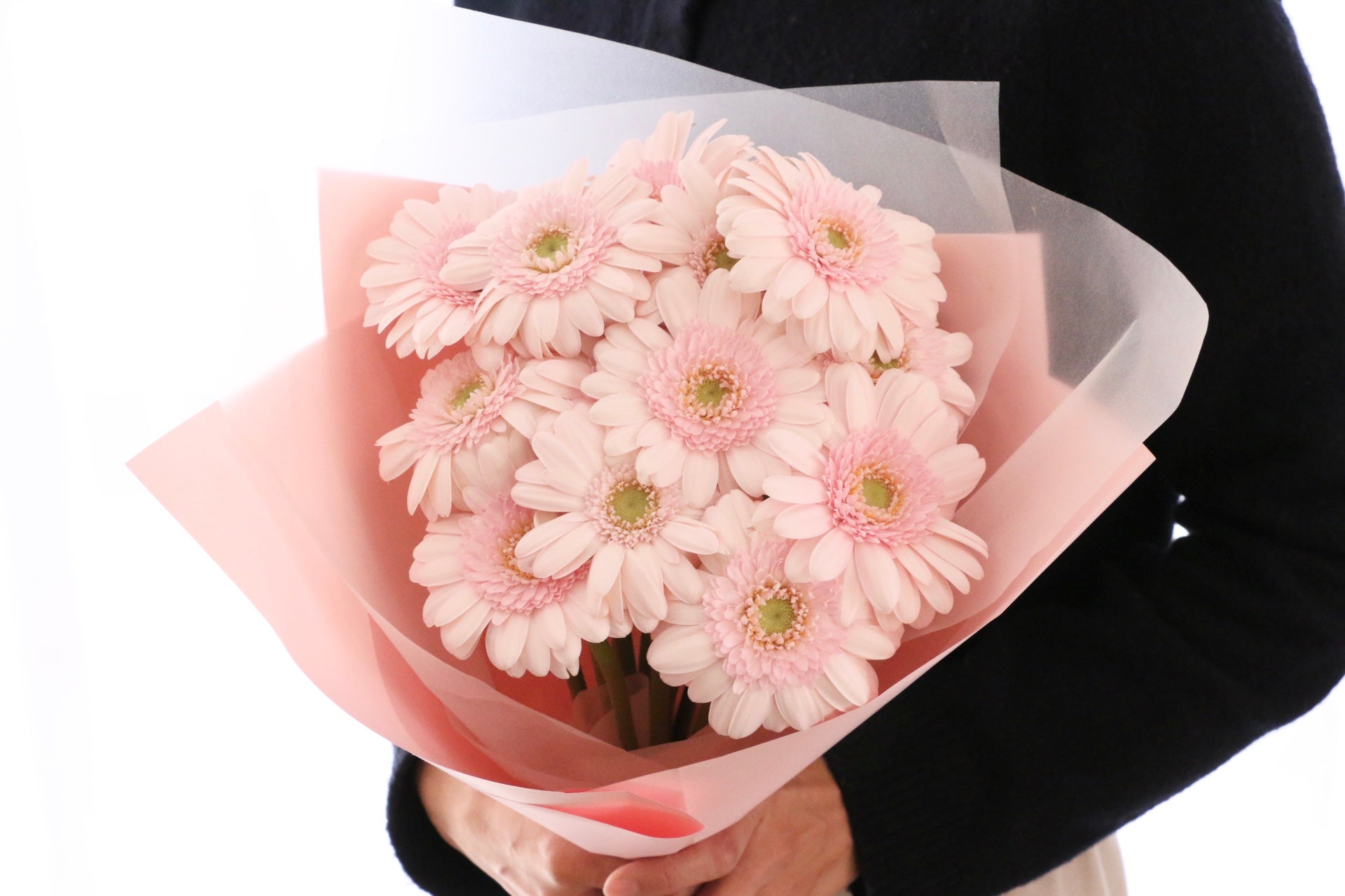 ピンク色のガーベラの花束（13本）-永遠の友情 – 花・花束の通販サイト