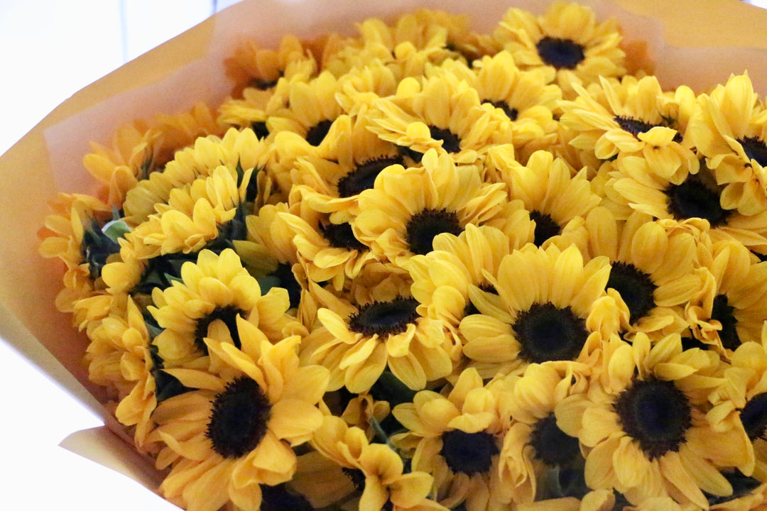 【プロポーズ】ひまわりの花束(108本)