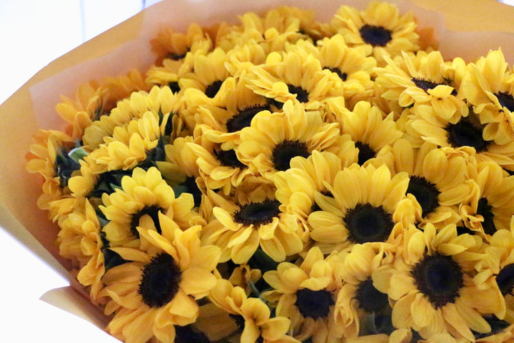 【プロポーズ】ひまわりの花束(108本)