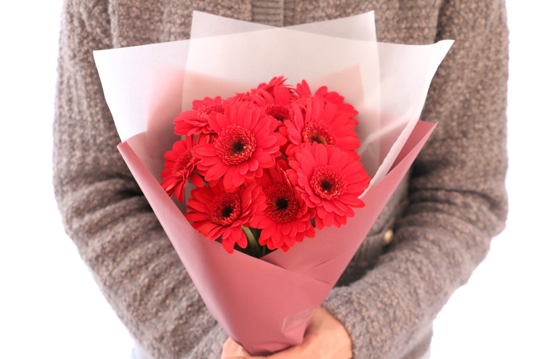 赤色のガーベラの花束（10本）