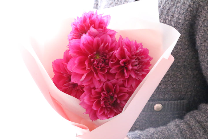 ピンク色のダリアの花束（5本）