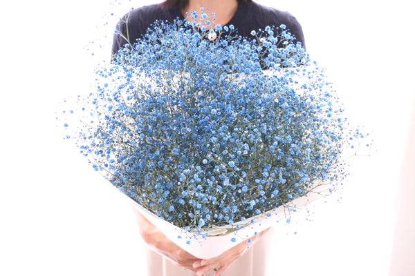 青のカスミソウ（かすみ草）の花束 8,000円