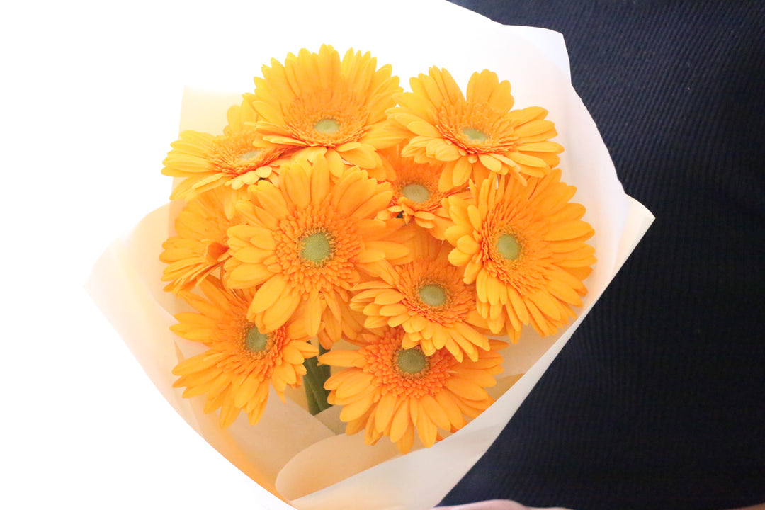 オレンジ色のガーベラの花束（10本）
